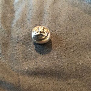 Pandora charm